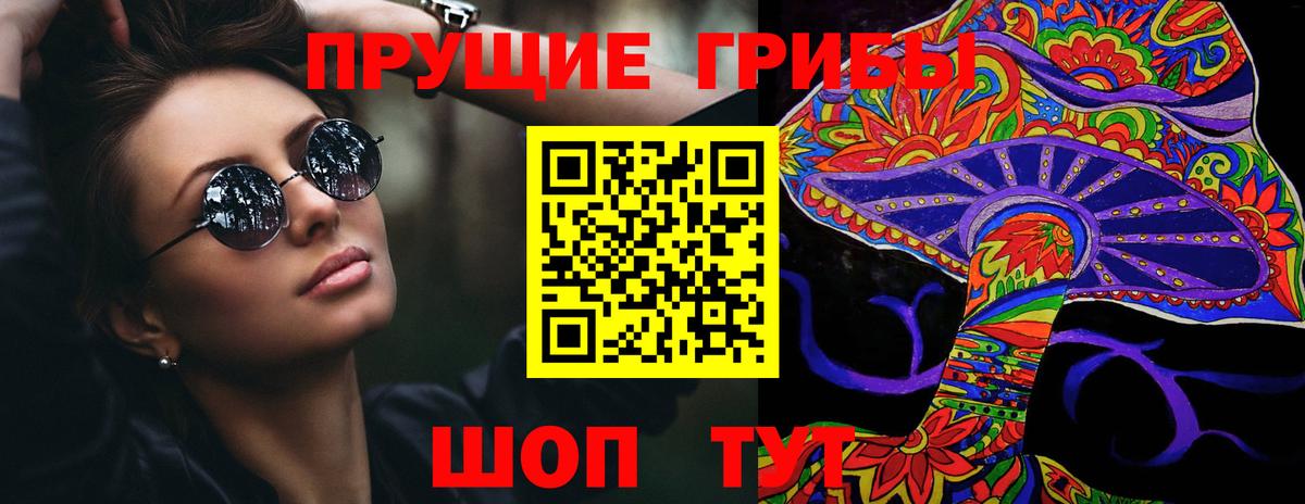 Псилоцибиновые грибы прущие грибы Коммунар