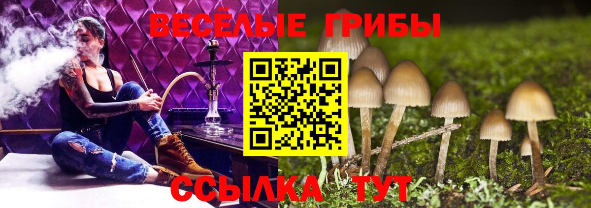 цены   Псилоцибиновые грибы GOLDEN TEACHER  Вход с VPN  Коммунар 